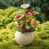 Große Tischdekoration mit Hibiskus