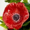 Große Tischdekoration mit Mohnblumen