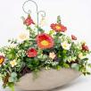 Premium-Tischdekoration mit  Glockenblume - Rot