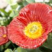 Premium-Tischdekoration mit  Glockenblume - Rot