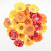 Gartenmohn