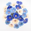 Gartenmohn