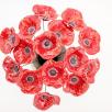 Mohnblume