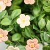 Erdbeere Blüte