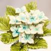 Hortensia