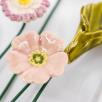 Blumenbild mit Hahenfuß