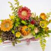 Große Blumenbox Dekoration mit Pilz