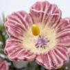 Mittelgroße Weihnachts-Tischdekoration mit Hibiskus