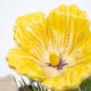 Mittelgroße Weihnachts-Tischdekoration mit Hibiskus