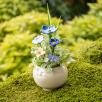 Mini-Tischdekoration mit Leinblume - Blau