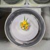 Mini-Tischdekoration mit Leinblume