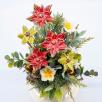 Große Weihnachts-Tischdekoration mit Sternblumen