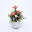 Kleine Weihnachts-Tischdekoration mit Sternblumen - Rot