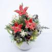 Kleine Weihnachts-Tischdekoration mit Sternblumen