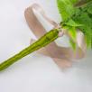 Gemeinsam Glücklich Großer Strauß