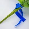 Blaue Lagune Mittelgroßer Strauß