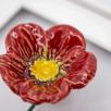Blumenbild mit Hahenfuß