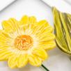 Blumenbild mit Tausendschön