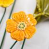 Blumenbild mit Hahenfuß
