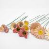 Gemeinsam Glücklich Mittelgroße Blumenauswahl