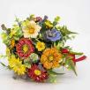 Tausendschön Große Blumenauswahl