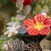 Mittelgroße Weihnachts-Tischdekoration mit Hibiskus