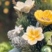 Mittelgroße Weihnachts-Tischdekoration mit Hibiskus