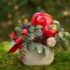 Kleine Weihnachts-Tischdekoration mit Apfel
