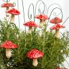 Hängender Pilz
