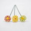 Mini Magerwiesen Margerite