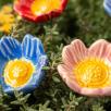 Heckenrose
