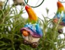 Regenbogen Wichtel - Gemischt