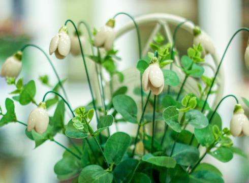 Kézműves hóvirág kerámiavirág ajándék